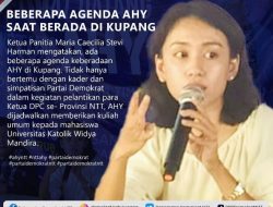 Ribuan Bendera Partai Demokrat Birukan Kota Kupang