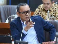 Soal Istana Intervensi Pemilu, Politikus PDIP : Demokrat Dan PKS Buat Sinetron Murahan !
