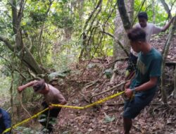 Penemuan Kerangka Manusia di Jurang Koramera, Tim Inafis Polres Ende Berhasil Identifikasi Identitas Korban