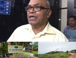 Direksi Dan Komusaris PT. AML  Dilaporkan Ke KPK Diduga Tela Merampas Lahan Hutan Lindung Dan Milik Warga, Untuk Usaha Perkebunan Kelapa Sawit