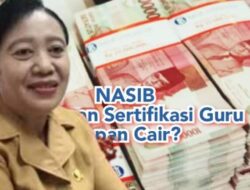 Di Ende, Dana Sertifikasi Guru TA 2024 Senilai Rp 4,4 Miliar Diduga Digunakan Untuk Pokir DPRD