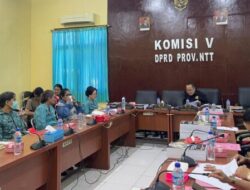 Komisi V DPRD NTT Apresiasi Kehadiran Asti Laka Lena: Tonggak Sejarah dalam Sinergi TP-PKK dan Lembaga Legislatif