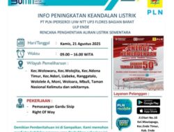 PLN ULP Ende Lakukan Pemeliharaan Jaringan, Aliran Listrik Dihentikan Sementara di Sejumlah Wilayah