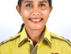 Diduga Tak Paham RPJMD, Megi Sigasare Disarankan Kembali Sekolah di PAUD