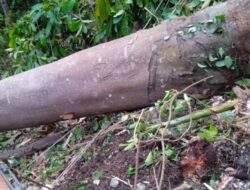 Jika Terjadi Pemadaman Listrik Secara Tidak Terencana, Itu Murni dari Faktor Alam