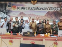 Menuju Kedaulatan Energi, UGM Dorong Flores Jadi Pusat Geotermal Nasional, Ini Kajian Akademiknya