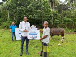 Rayakan Hari Raya Idul Adha 1447 H Pelindo Regional 3 Ende-Ippi Serahkan Hewan Qurban ke Masjid di Kota Ende