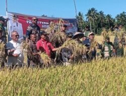 Gelar Panen Perdana Padi Sawah di Kota Baru, Bupati Ende, Soroti SDM dan Bulog