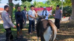 Perkuat Kepedulian Sosial di Idul Adha, Polres Ende Salurkan Hewan Kurban untuk Warga