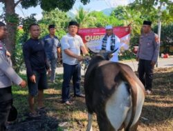 Perkuat Kepedulian Sosial di Idul Adha, Polres Ende Salurkan Hewan Kurban untuk Warga
