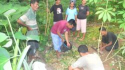 Yayasan Tananua Flores Dampingi Petani Ende Kembangkan Pertanian Organik Berkelanjutan