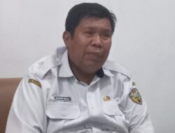 Hadapi Kemarau Panjang, Dinas Pertanian Ende Pastikan Produksi Padi Tetap Terjaga