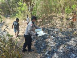 Aksi Cepat Wakapolsek Ende bersama Warga Padamkan Api di Kaki Gunung Meja Sebelum Meluas